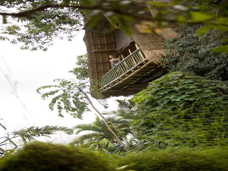 Kupu Kupu Barong Villas And Tree Spa By L'Occitane Убуд Экстерьер фото